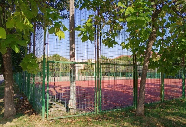 USR Timișoara solicită deschiderea terenurilor de sport ale școlilor din oraș