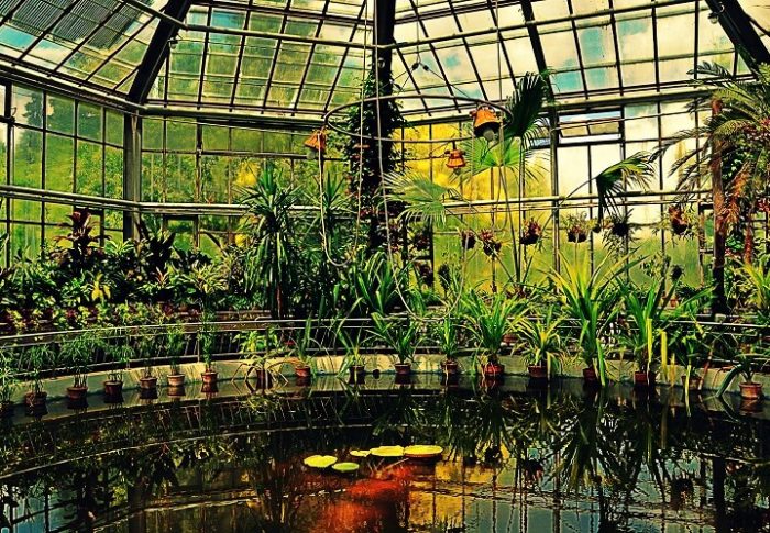 USR propune pentru bugetul din 2018: Seră educațională cu plante exotice în Parcul Botanic din Timișoara