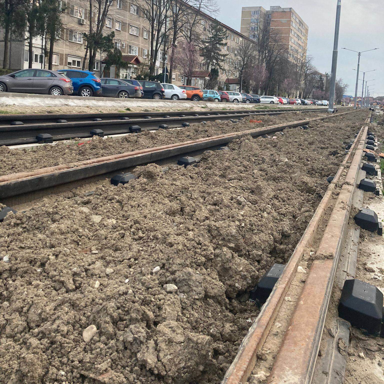 Pe bulevardul Cetății vom avea prima linie de tramvai cu iarbă din Timișoara